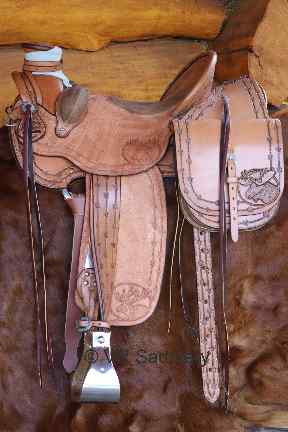 Another Side View With Saddlebags